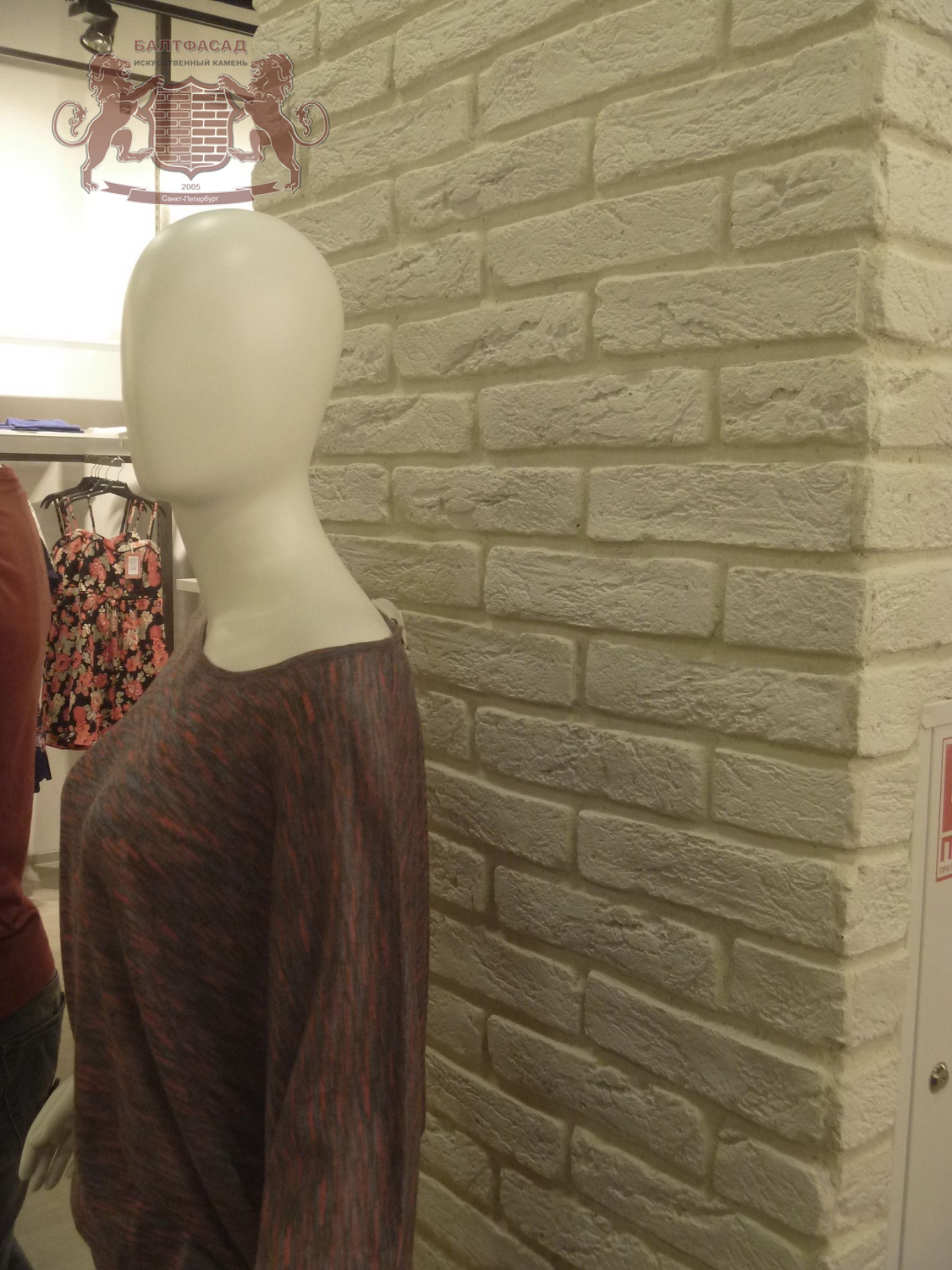 Петровский 011